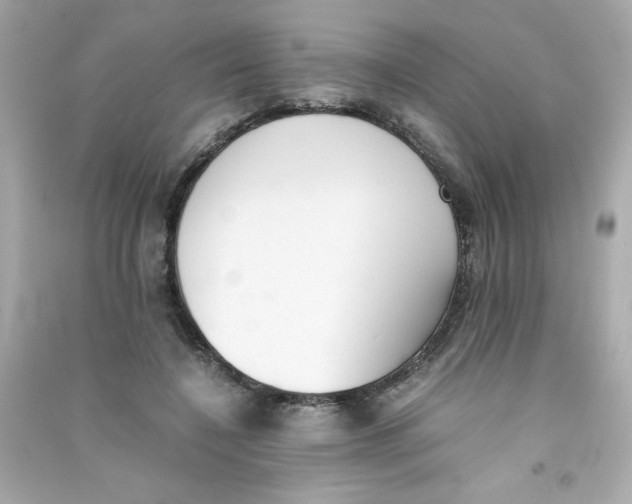 X0000090410548200708101922