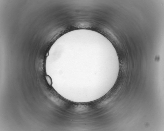X0000090410549200708101922