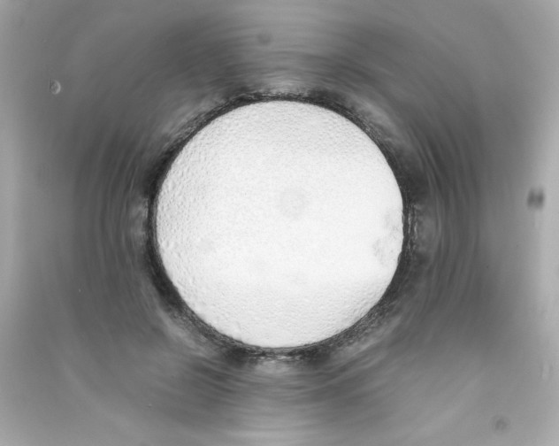 X0000090410550200708101922
