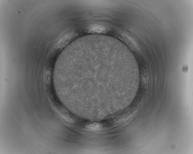 X0000090410551200708101922