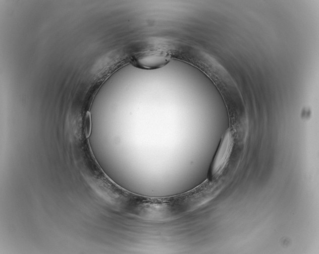 X0000090410552200708101922