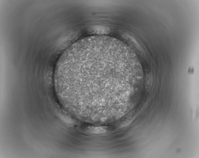 X0000090410553200708101922