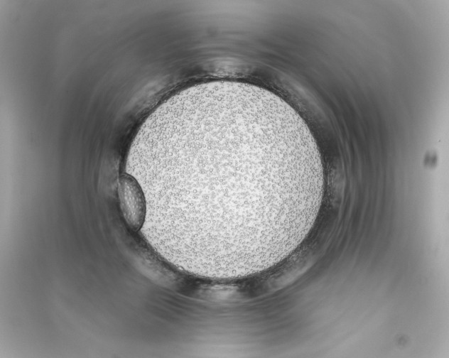 X0000090410554200708101922