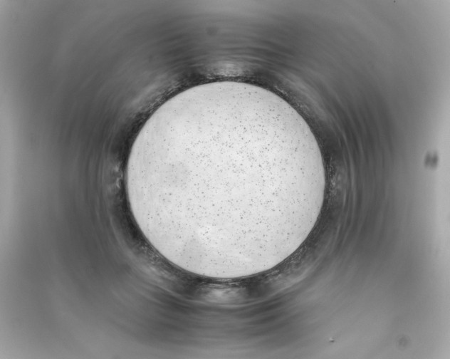 X0000090410555200708101922