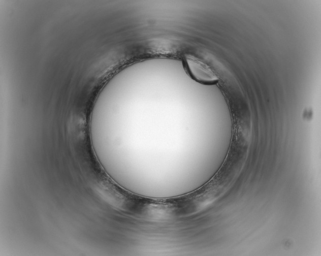 X0000090410556200708101922