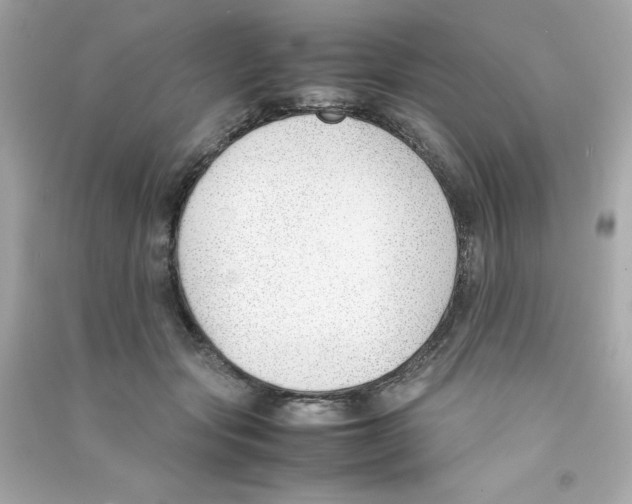 X0000090410557200708101922