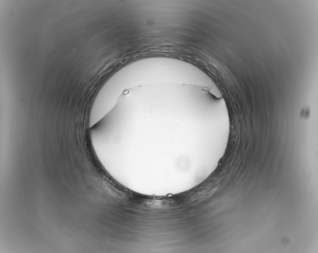 X0000090410558200708101922