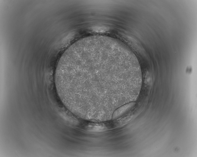 X0000090410559200708101922