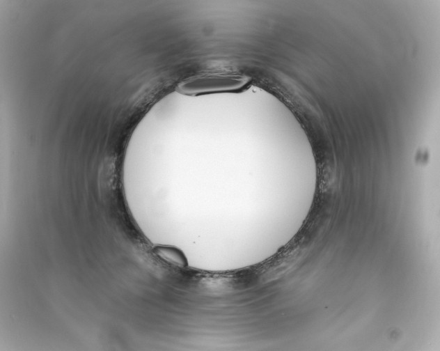 X0000090410560200708101922