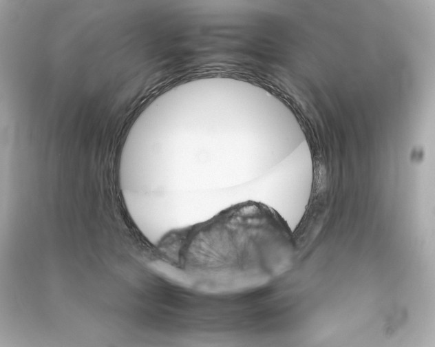 X0000090410561200708101922