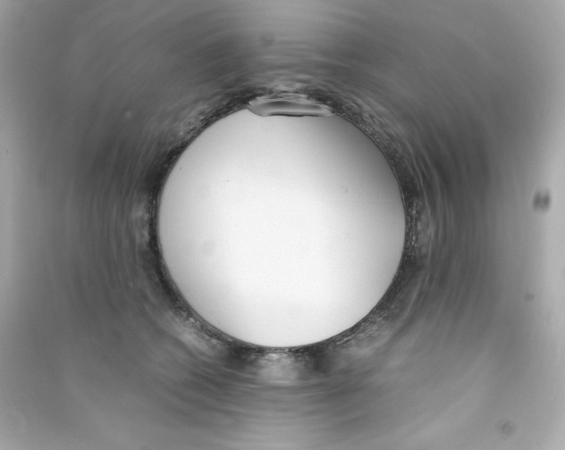 X0000090410562200708101922