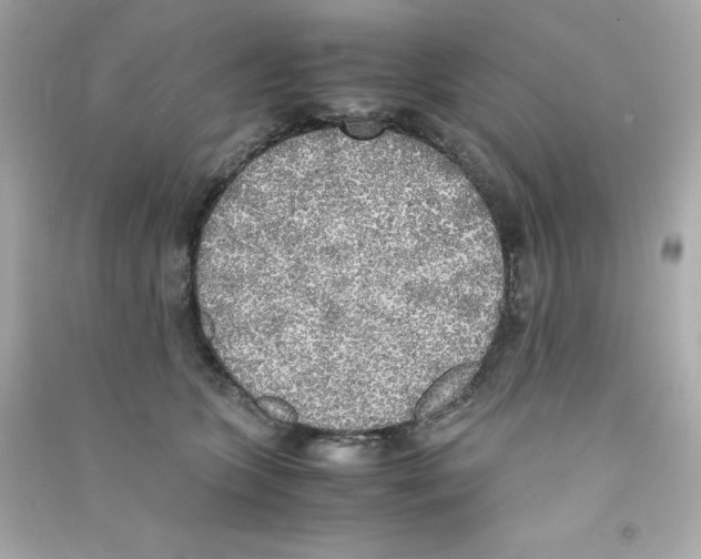 X0000090410563200708101922