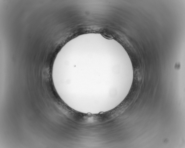 X0000090410564200708101922