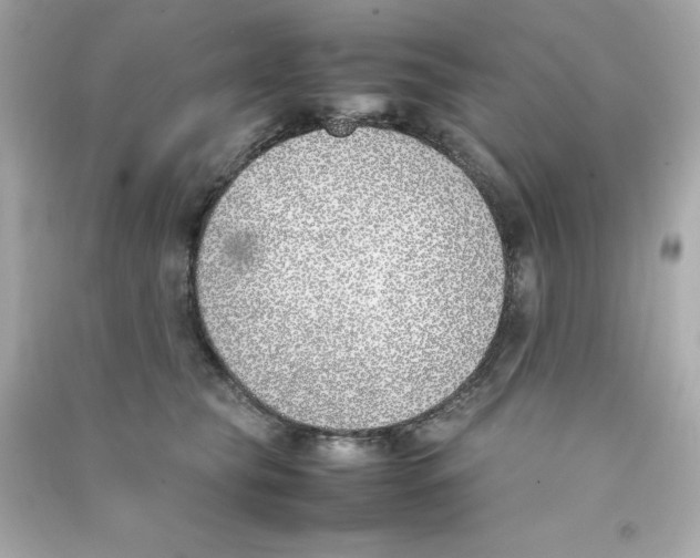 X0000090410565200708101922