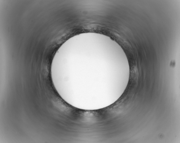 X0000090410566200708101922