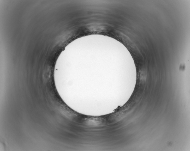 X0000090410567200708101922
