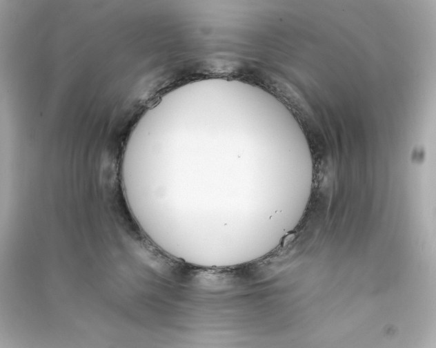 X0000090410568200708101922