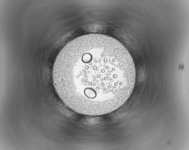 X0000090410569200708101922