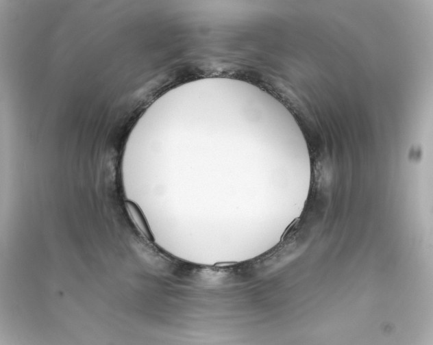 X0000090410570200708101922