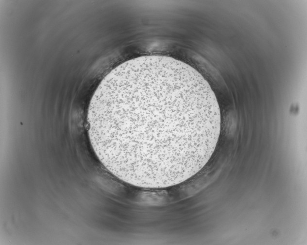 X0000090410571200708101922