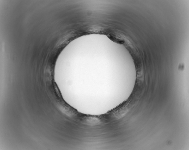 X0000090410572200708101922