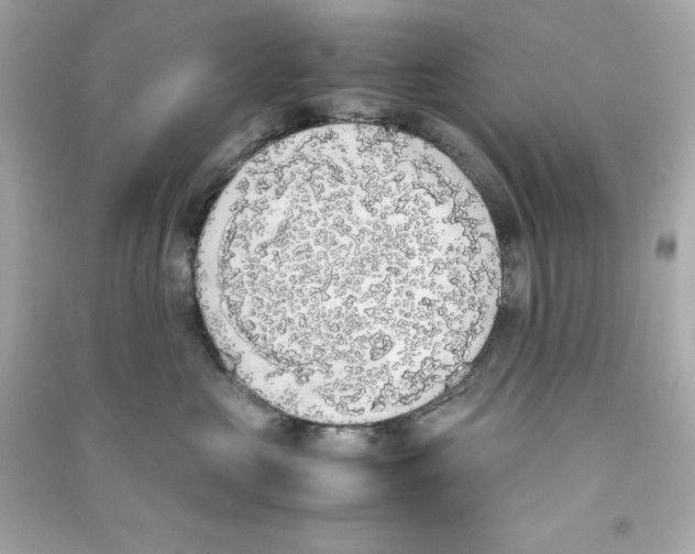 X0000090410573200708101922