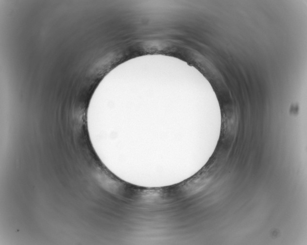 X0000090410574200708101922