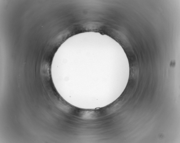 X0000090410575200708101922