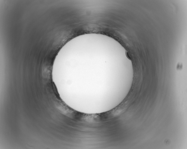 X0000090410576200708101922