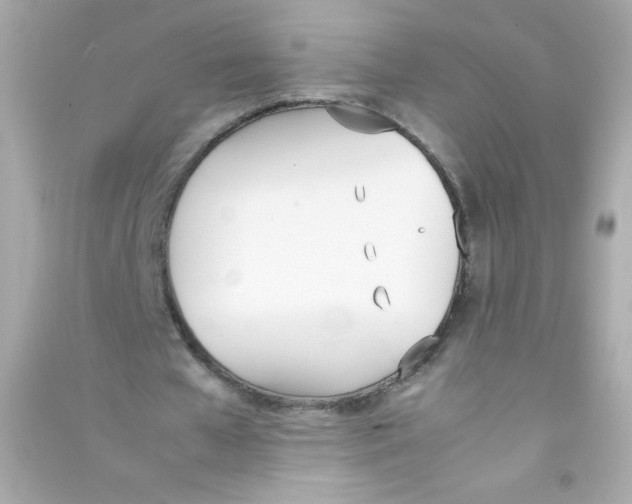 X0000090410577200708101921