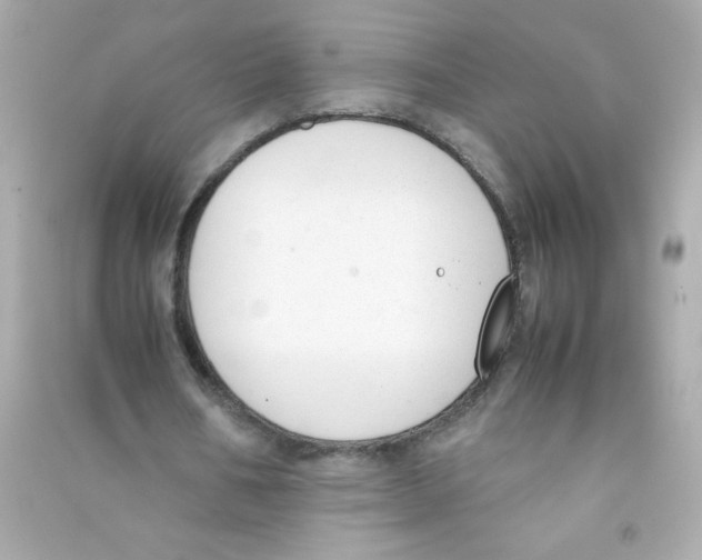 X0000090410578200708101921
