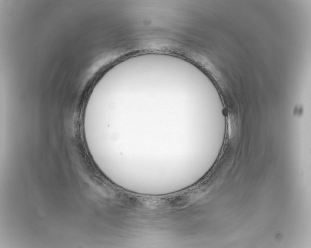 X0000090410579200708101921