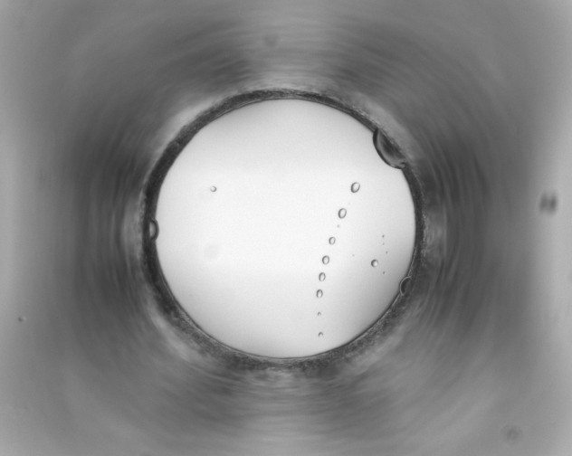 X0000090410580200708101921