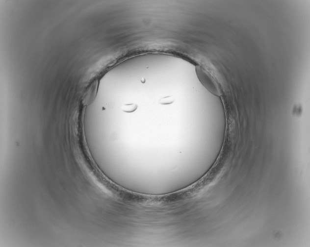 X0000090410581200708101921
