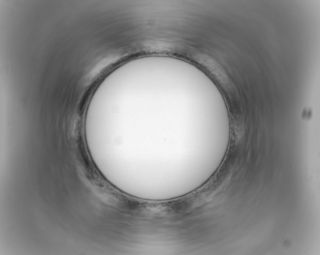 X0000090410583200708101921