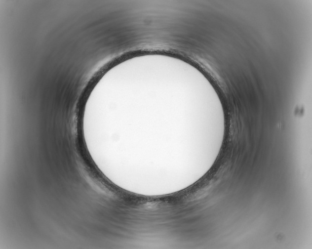 X0000090410584200708101921