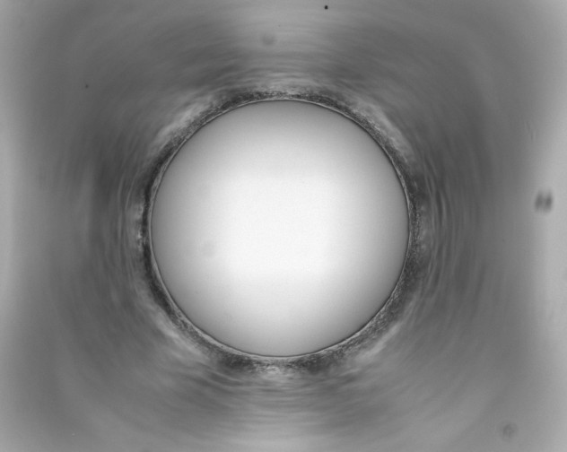 X0000090410585200708101921