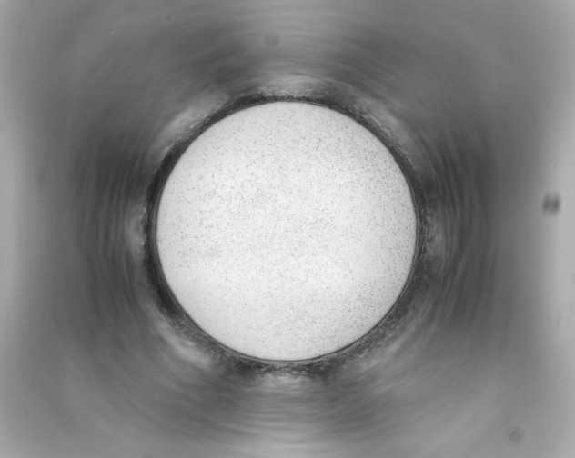 X0000090410586200708101921