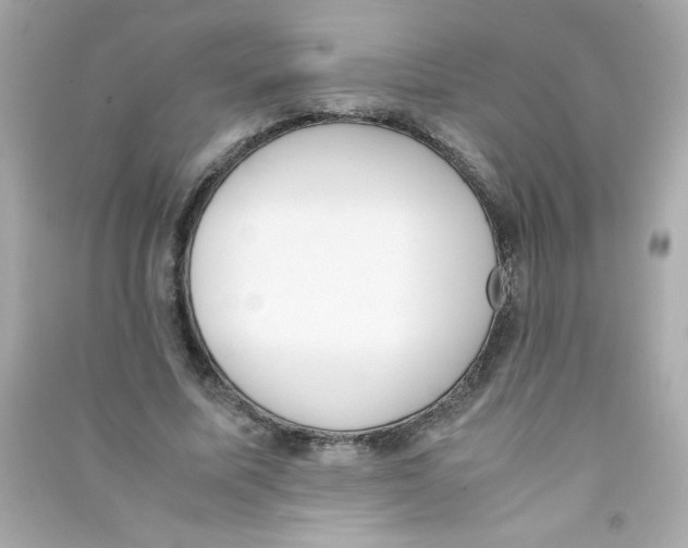 X0000090410587200708101921