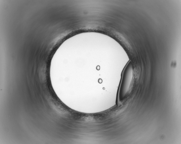 X0000090410588200708101921
