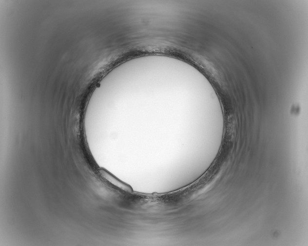 X0000090410589200708101921
