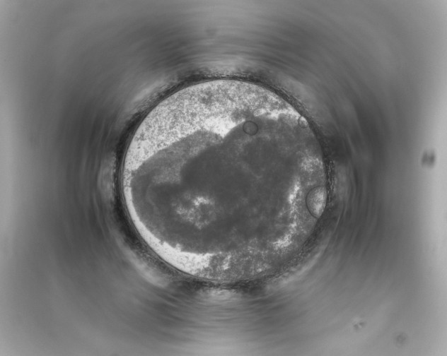 X0000090410590200708101921
