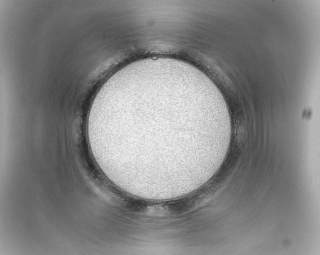 X0000090410591200708101921