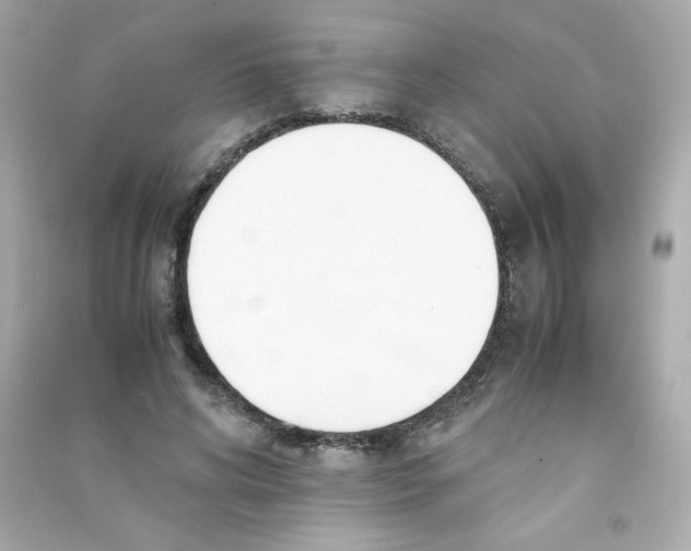 X0000090410592200708101921