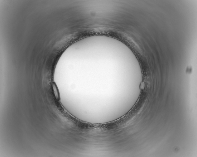 X0000090410593200708101921