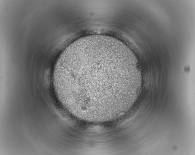 X0000090410594200708101921
