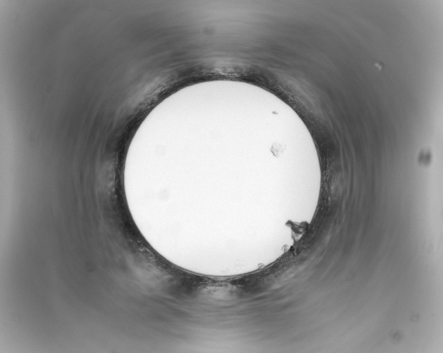 X0000090410595200708101921