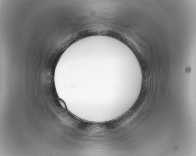X0000090410597200708101921
