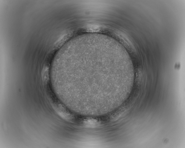 X0000090410598200708101921
