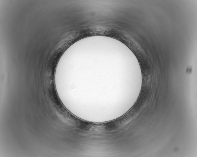 X0000090410599200708101921